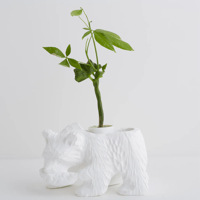 PLASTER POT / KIBORI BEAR