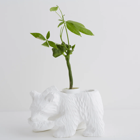 PLASTER POT / KIBORI BEAR