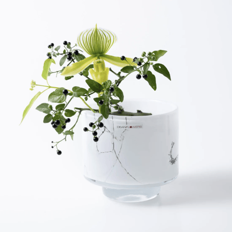 CATEGORY Henry Dean ｜ Akiko | ugo