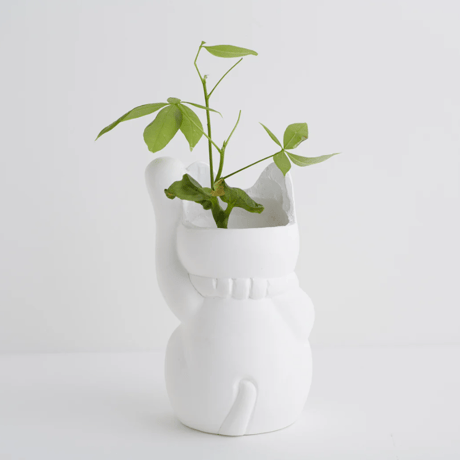 PLASTER POT / MANEKI CAT