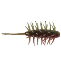 COIKE SHRIMP MEDIUM