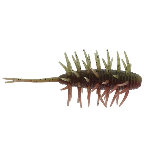 COIKE SHRIMP MEDIUM