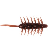 COIKE SHRIMP MAGNUM