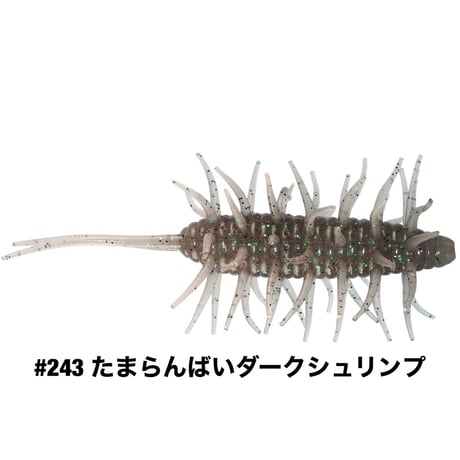 COIKE SHRIMP BIG