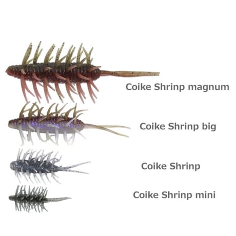 COIKE SHRIMP MAGNUM【オンライン限定カラー】