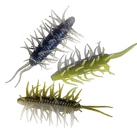 COIKE SHRIMP MAGNUM【オンライン限定カラー】