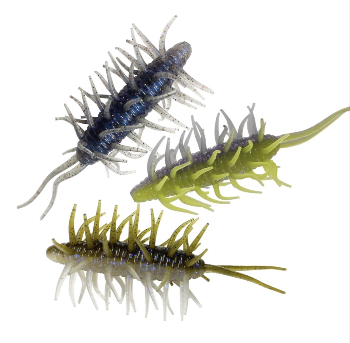 COIKE SHRIMP MAGNUM【オンライン限定カラー】 | HIDEUP ONLINE