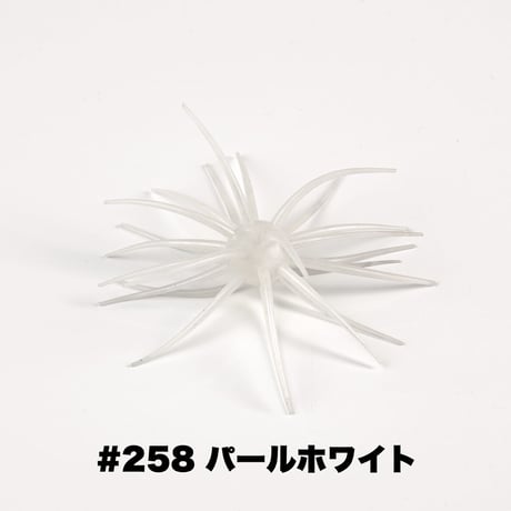 Coike 17mm【オンライン限定カラー】