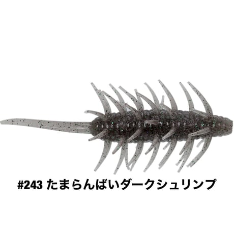 COIKE SHRIMP MAGNUM