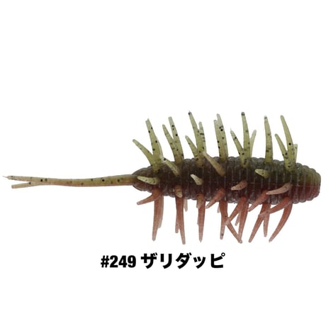 COIKE SHRIMP MEDIUM