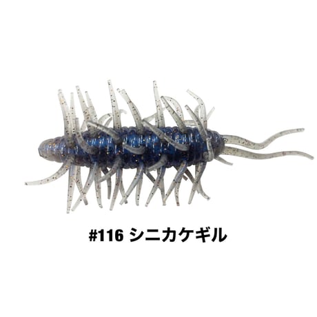 COIKE SHRIMP MAGNUM【オンライン限定カラー】
