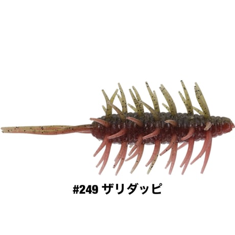 COIKE SHRIMP MAGNUM
