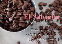 エルサルバドル　パカマラ　ナチュラル　ミディアムロースト〈浅煎り〉　(200g)