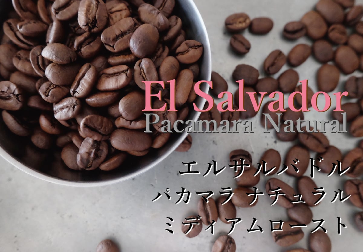 エルサルバドル パカマラ ナチュラル ミディアムロースト〈浅煎り