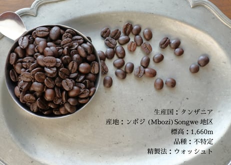タンザニア シランガWS フルシティロースト <中深煎り+> (200g)