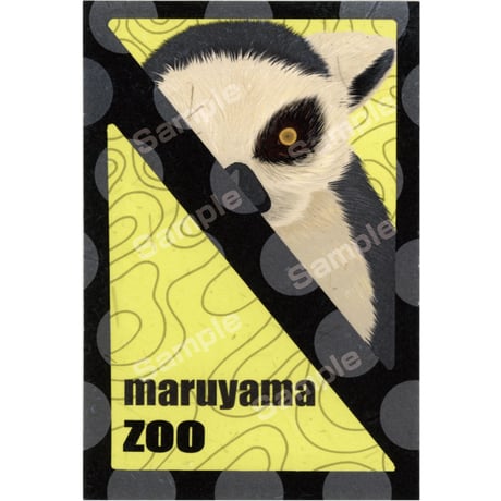 さっぽろ円山動物園ポストカード展2023　09前澤和作品