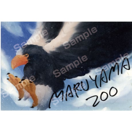 さっぽろ円山動物園ポストカード展2023　27こにー作品