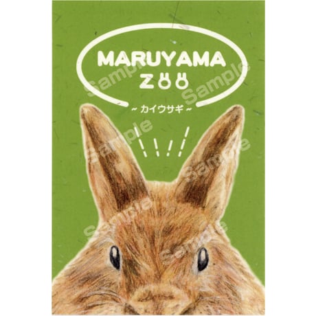 さっぽろ円山動物園ポストカード展2023　24おばけうさぎ作品