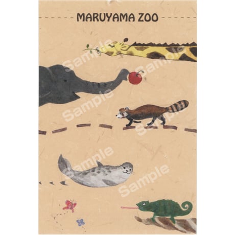 さっぽろ円山動物園ポストカード展2023　22So-da作品