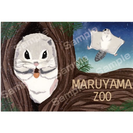 さっぽろ円山動物園ポストカード展2023　02数馬妃香莉作品
