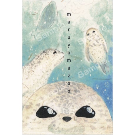 さっぽろ円山動物園ポストカード展2023　44池添遥作品
