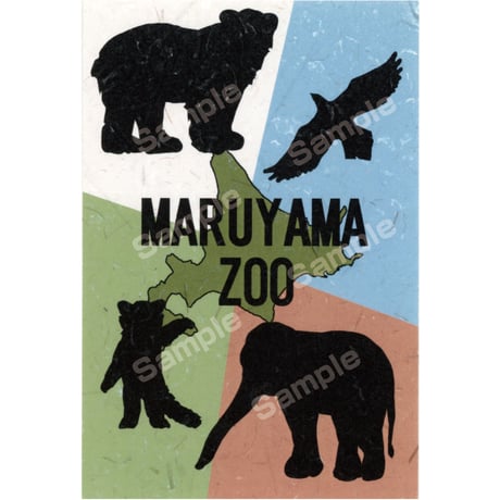 さっぽろ円山動物園ポストカード展2023　59山下智弘作品