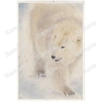 さっぽろ円山動物園ポストカード展2025 65M-Plcture