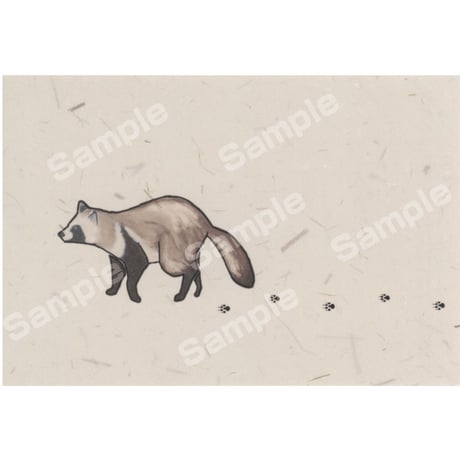 さっぽろ円山動物園ポストカード展2023　21スズキノコ作品