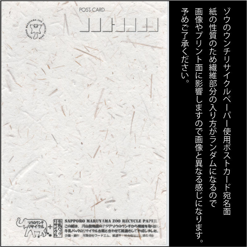 アジアゾウ「ニャイン」「パール」 | wordmgoodsSTORE