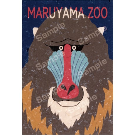 さっぽろ円山動物園ポストカード展2023　39にゃっ狐作品