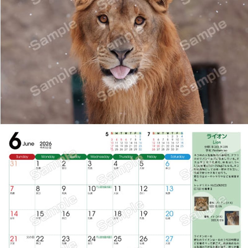 2026年みんなの写真で作ろう円山動物園壁掛けカレンダー | wordmgoodsSTORE