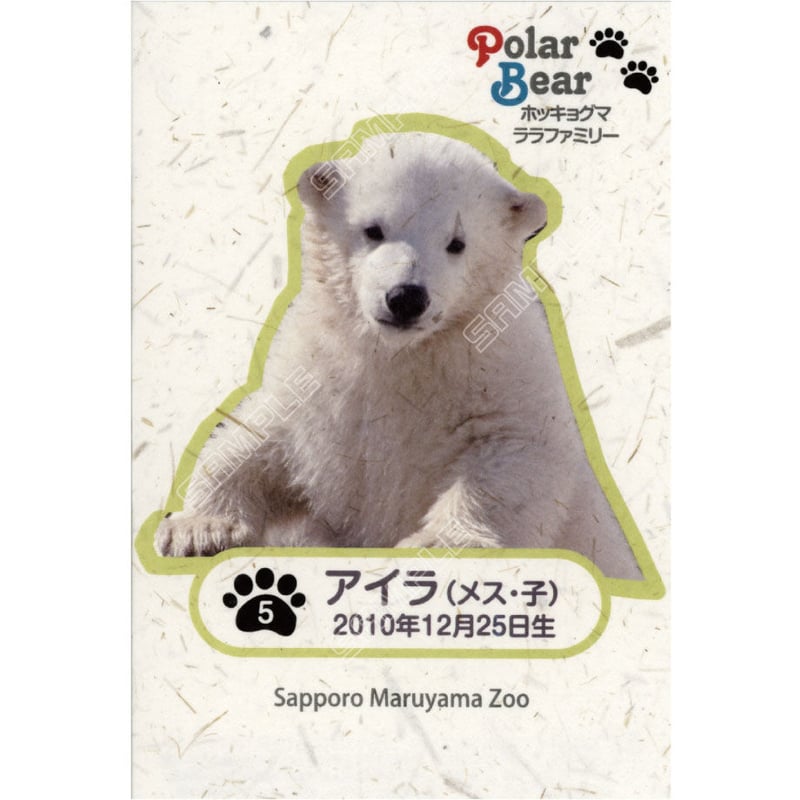 ホッキョクグマ ララファミリー「アイラ」5 | wordmgoodsSTORE