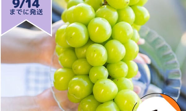 葡萄の壺 山梨園