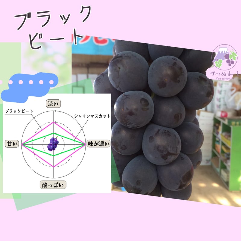 ブラックビート（約2kg） | かつぬまーと