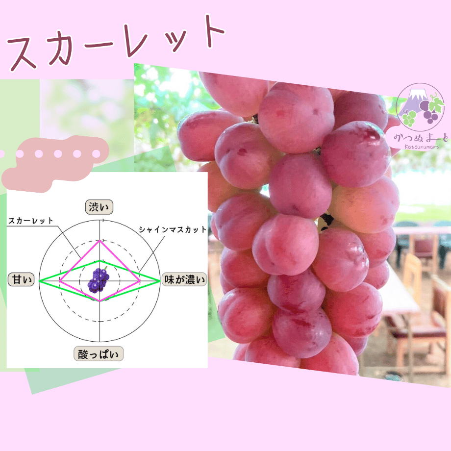 スカーレット（約1kg） | かつぬまーと