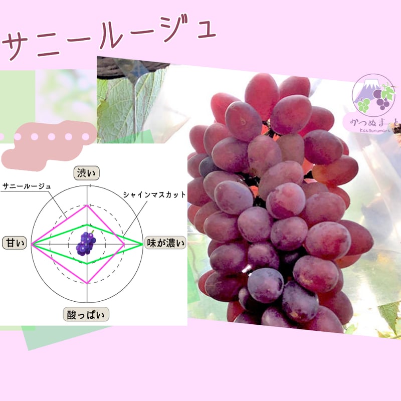 サニールージュ（約1kg） | かつぬまーと