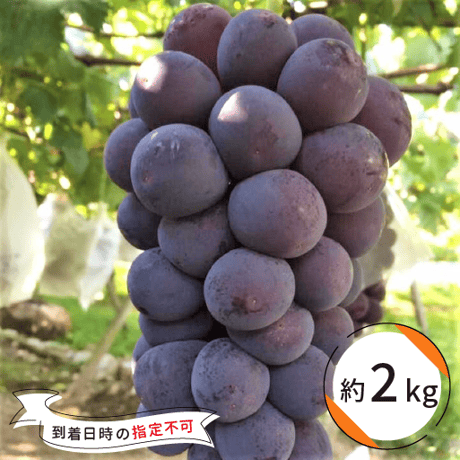 葡萄の壺 池田ぶどう農園 雲南-トップページ