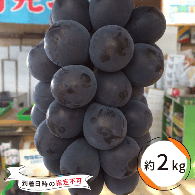 ★cocoa★【ブラックビート】2kg×2 ☆cocoa様専用☆【ブラックビート】2kg×2
