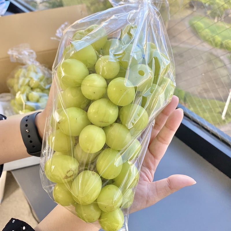 訳あり】シャインマスカット（約2kg） | かつぬまーと