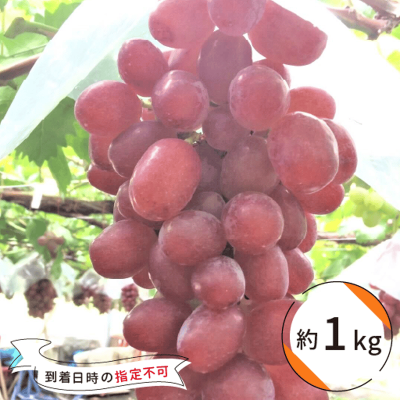 甲斐路（約1kg） | かつぬまーと