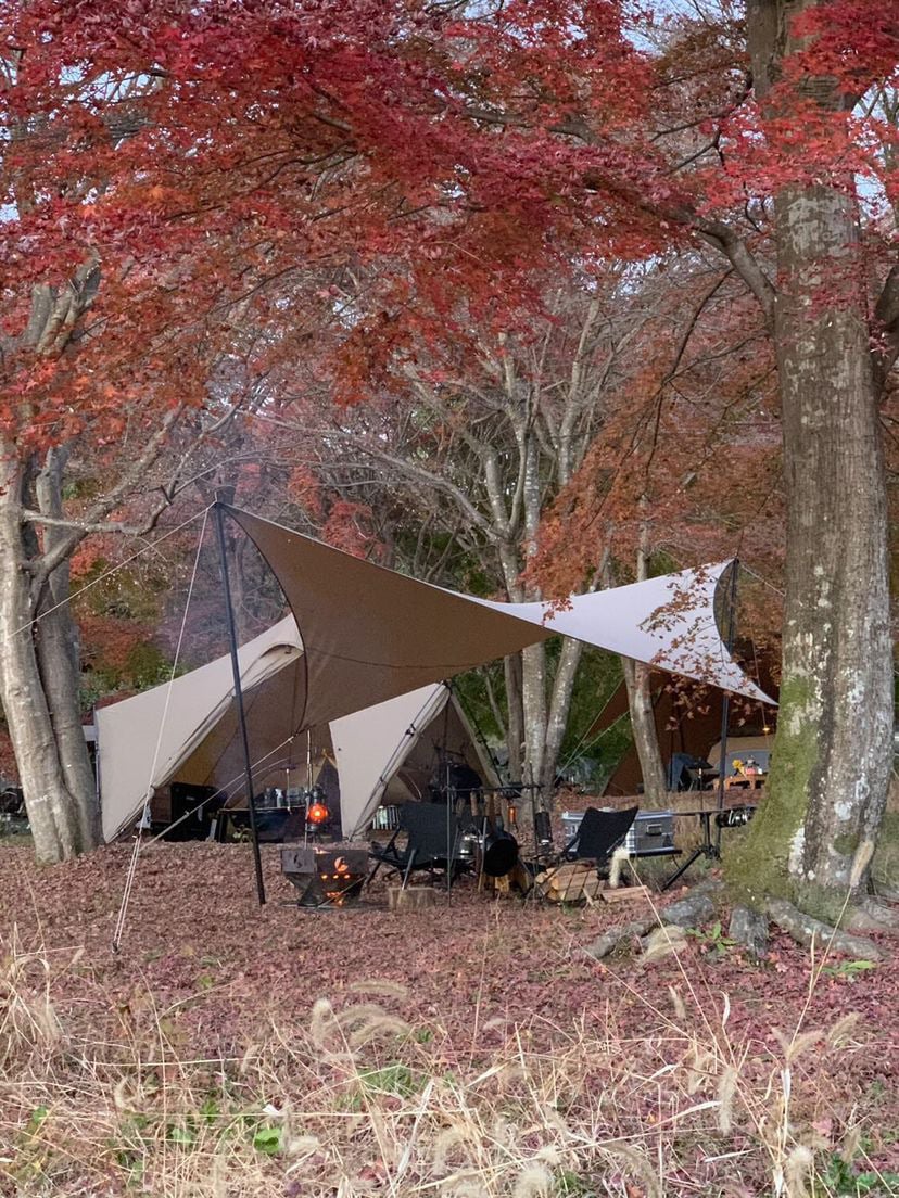 teloタープ looks limited color サンド teloタープ looks limited