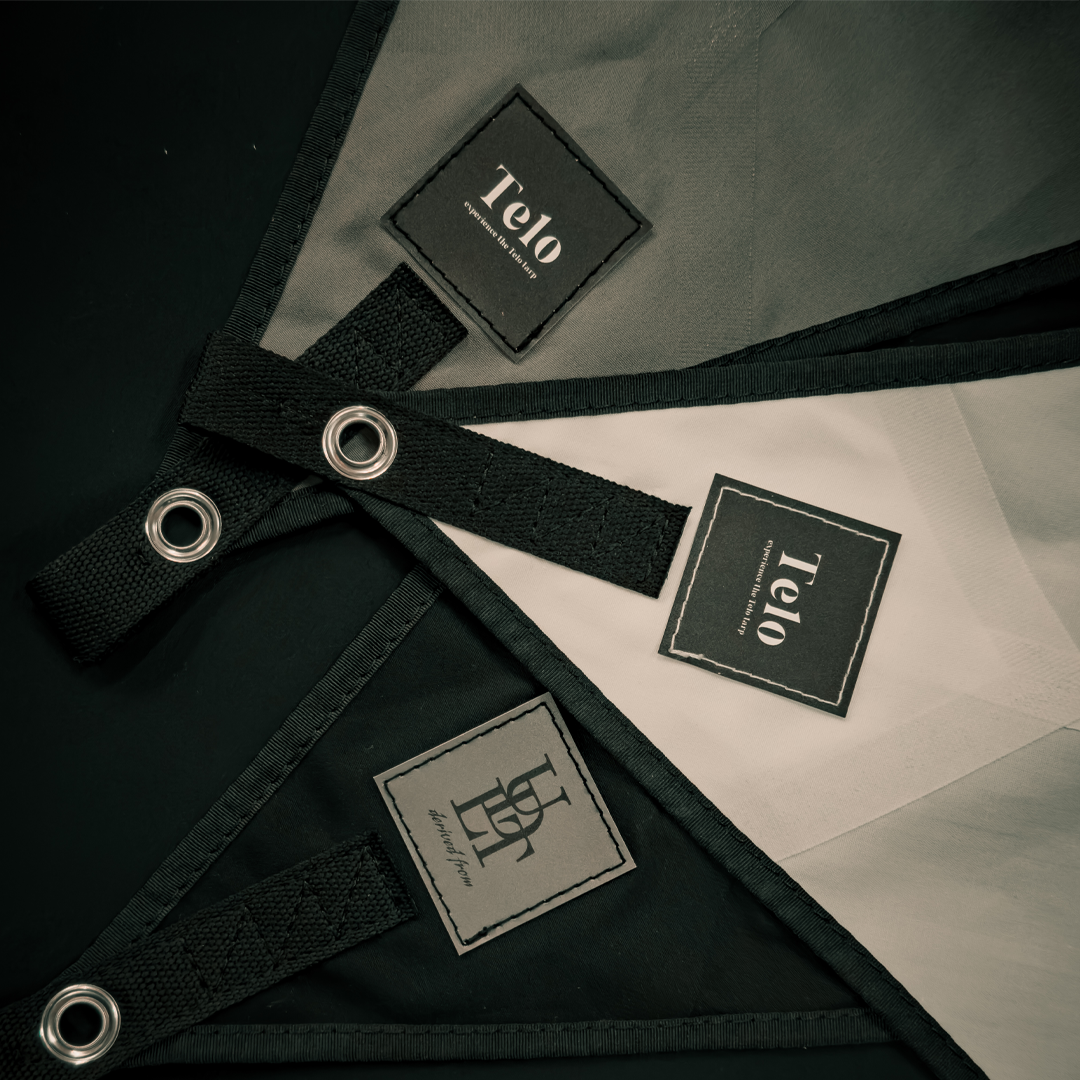 looks mid | Telo