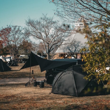 palace carside tarp