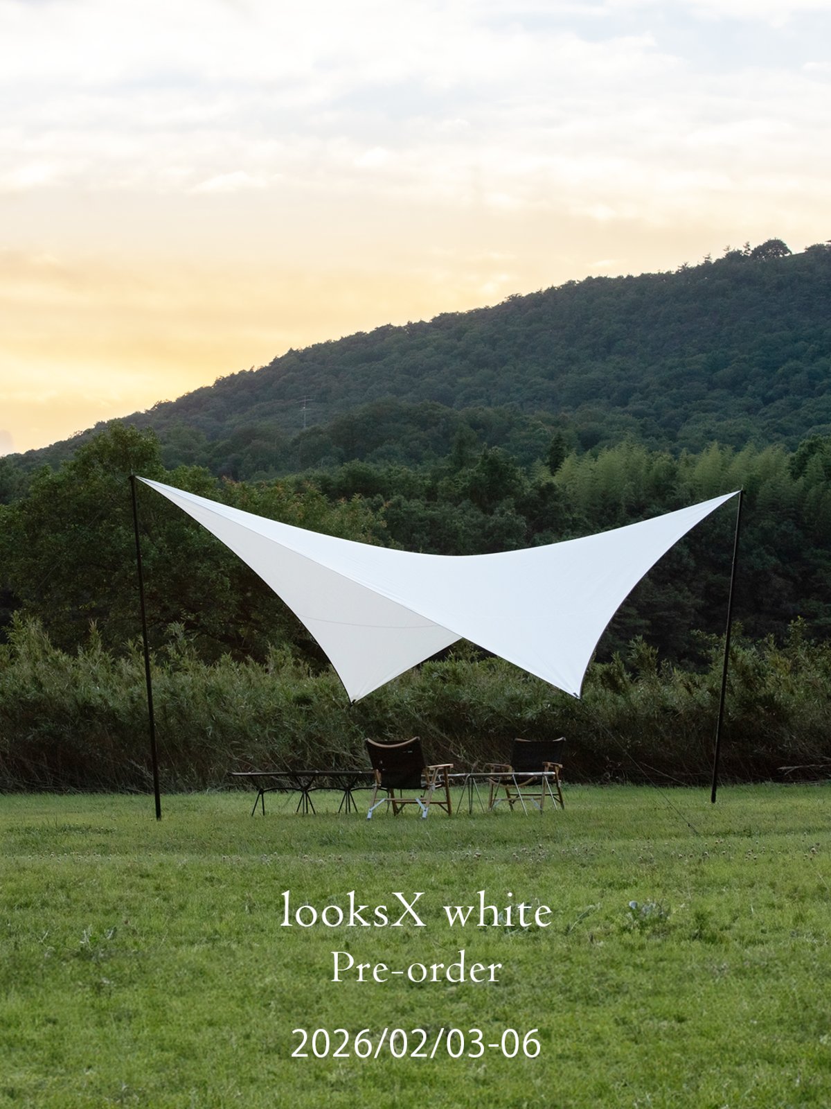 looksX & looks mid / White 販売につきまして | Telo