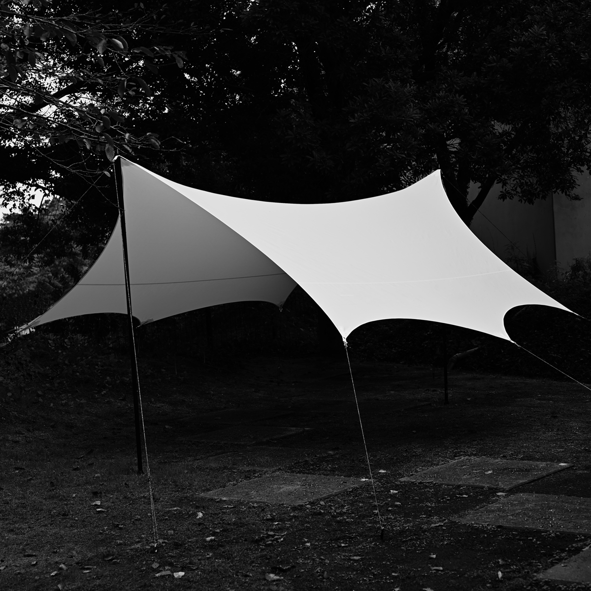 【新品未使用】Telo tarp stark Normsil Octa tarp stark | Telo