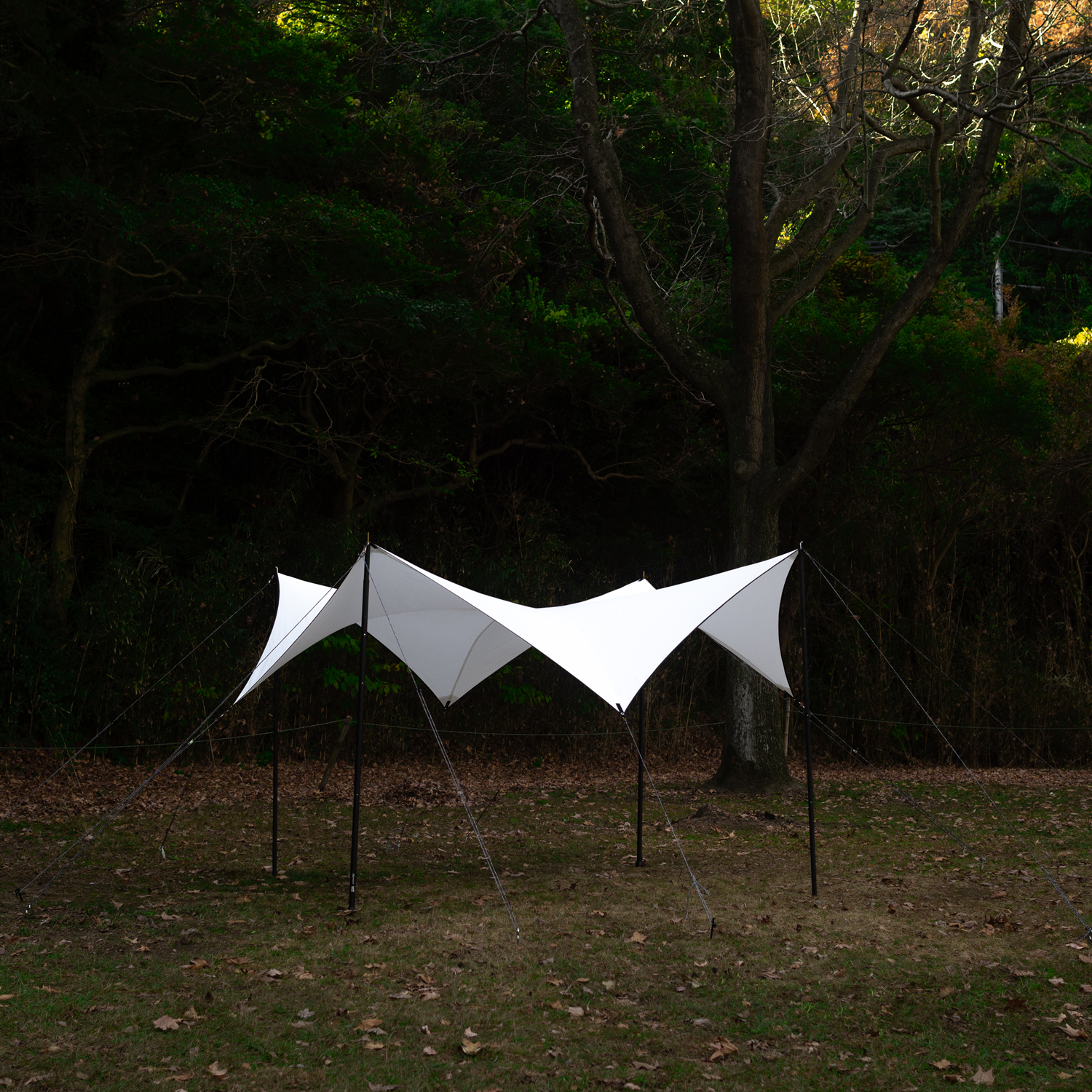 abyss | Telo