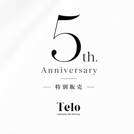 【廃盤モデル】TELOタープ　looksveil フロストグレー looksveil | Telo