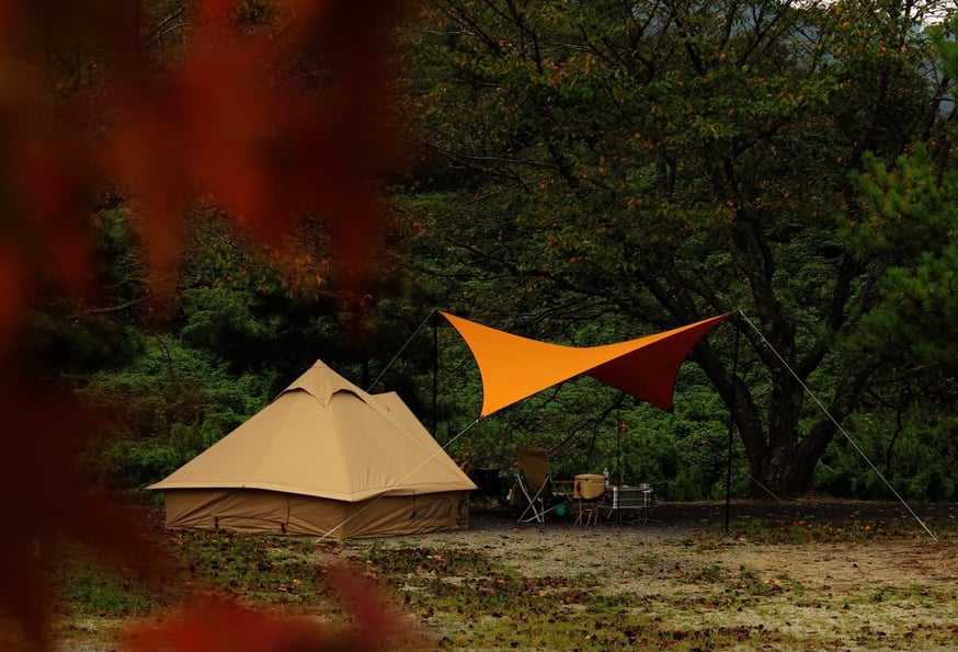 【美品】Telo Tarp テーロタープlooks ルックス　マスタード 美品】Telo Tarp テーロタープlooks ルックス マスタード looks | Telo