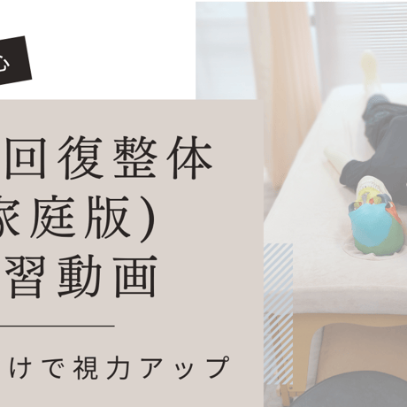 視力回復　DVD　視力回復整体 20分で0.5アップ！視力回復の新常識】 瓜田貴之 整体DVD 手技DVD