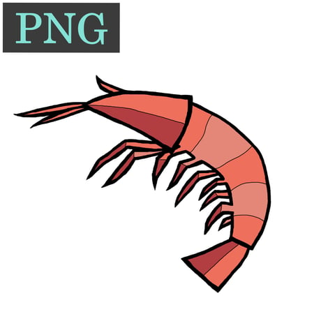 【PNG】エビ／shrimp